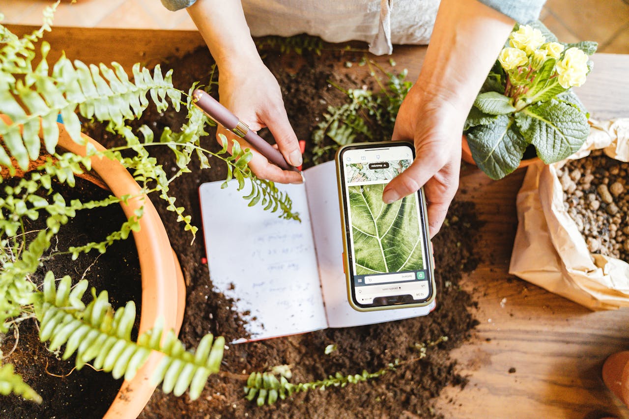 services-02 Hands documenting plant growth indoors with phone and notebook.