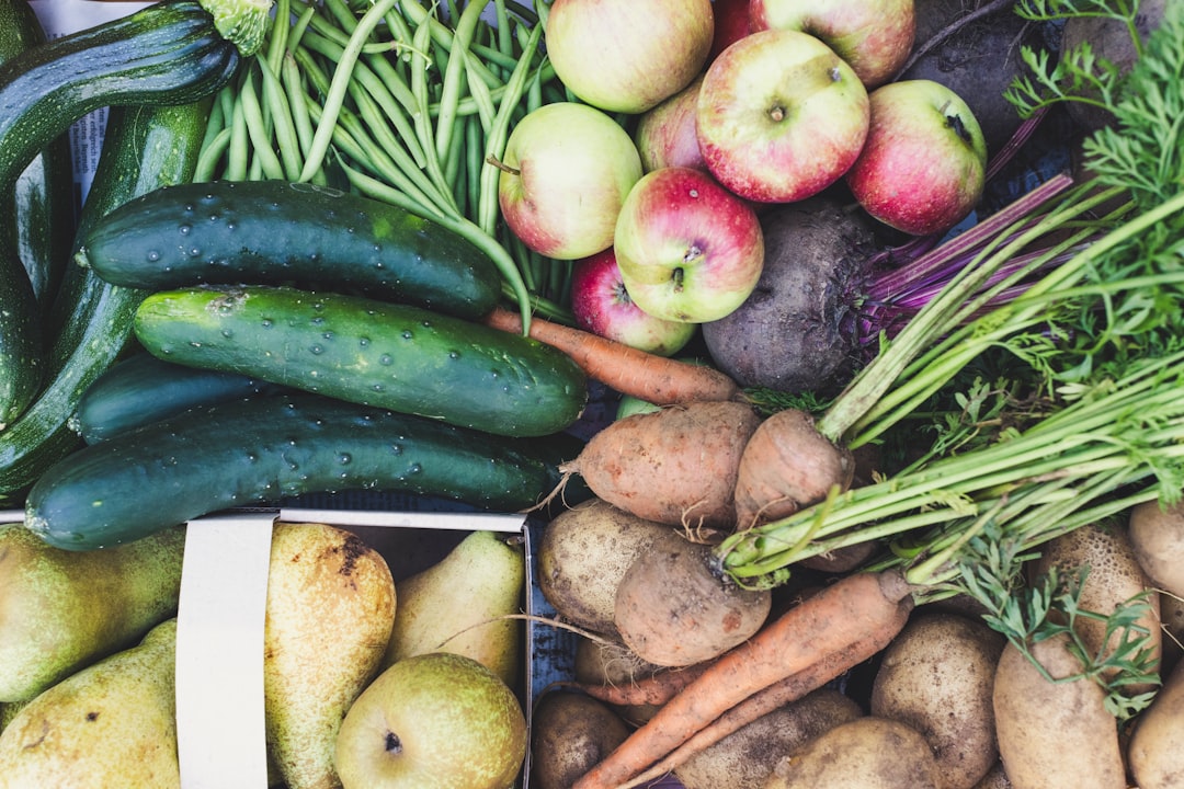 services-01 Fresh & GMO-free bio organic vegetables for self-support